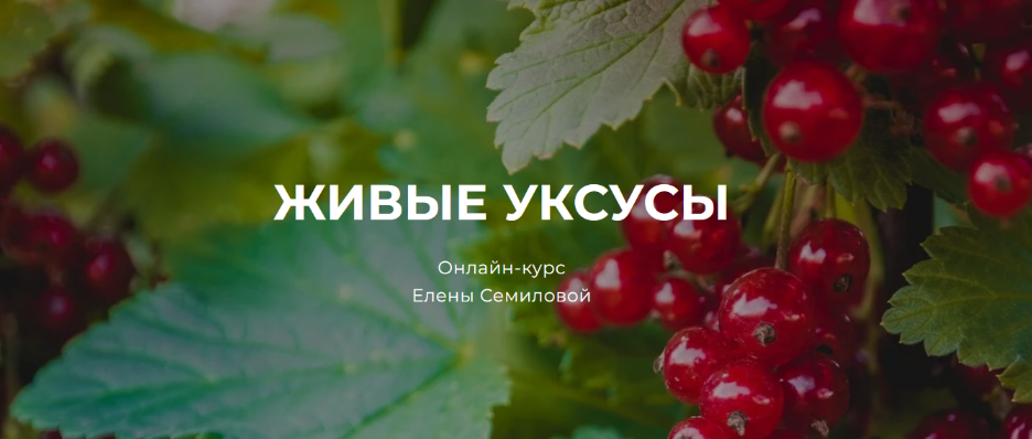 Елена Семилова Живые уксусы 2023 слив курса