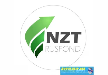 Игорь Шимко, Сергей Попов NZT Rusfond: обзор I полугодия 2019 года слив