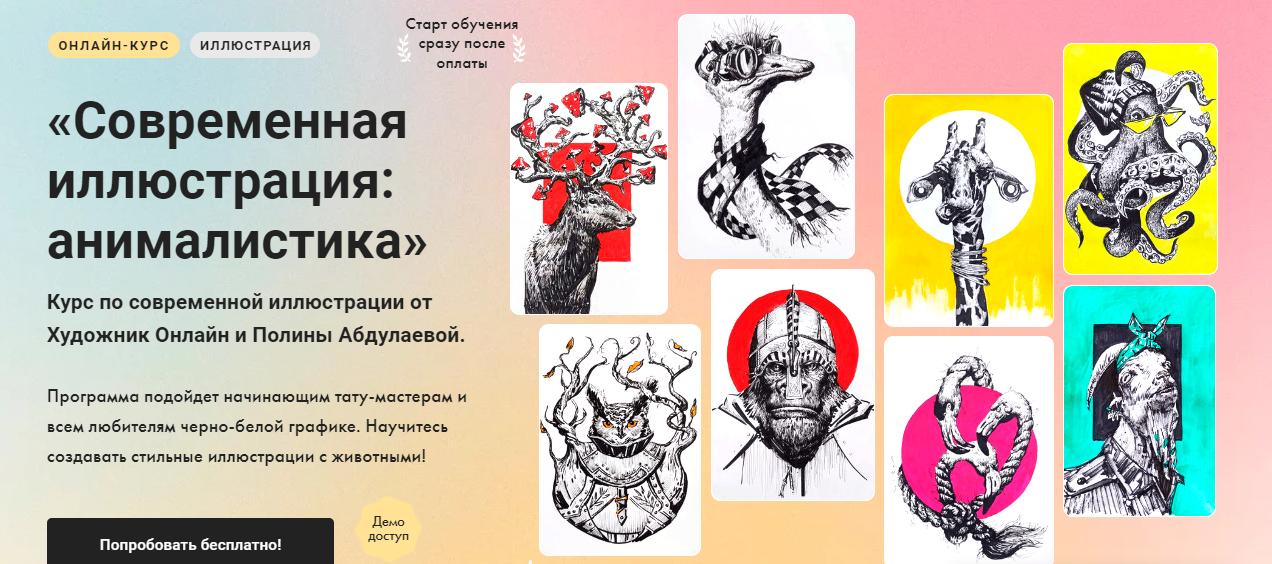 Художник Online Полина Абдулаева ― Современная иллюстрация: анималистика 2024 слив курса