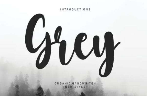 Fontbundles Grey Font 2021 слив курса