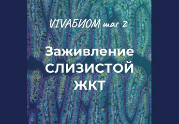 Анна Кортунова Vivabiom шаг 2: Заживление слизистой жкт 2023 слив