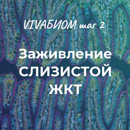 Анна Кортунова Vivabiom шаг 2: Заживление слизистой жкт 2023 слив курса