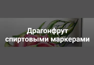 Анна Расторгуева Драгонфрут спиртовыми маркерами слив