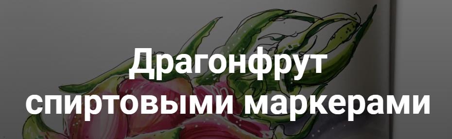 Анна Расторгуева Драгонфрут спиртовыми маркерами слив курса