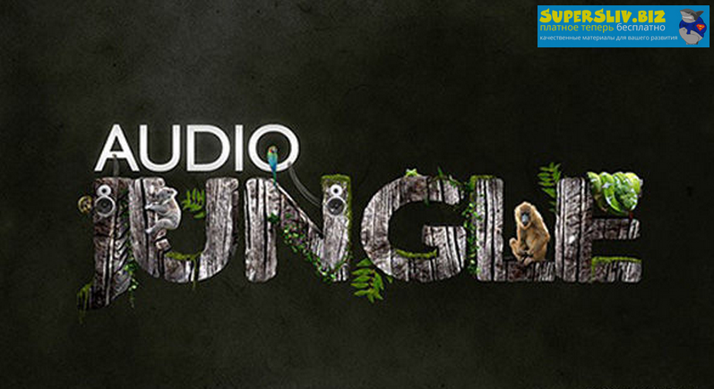 AudioJungle Шикарная подборка музыки 2019 слив курса