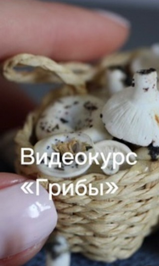 Юлия Бухарова Видеокурс Грибы 2023 слив курса