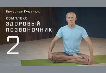 Курс «Здоровый позвоночник 2» 2016 - Гуцалюк В. слив