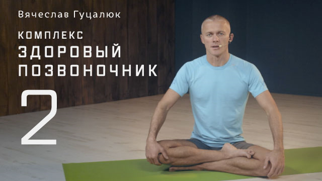 Курс «Здоровый позвоночник 2» 2016 - Гуцалюк В. слив курса