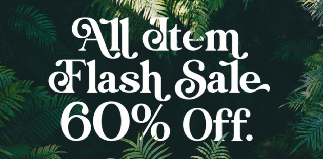 Myfonts Rachel Brown Font 2021 слив курса