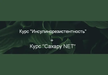 Суханова Елена Курс «Инсулинорезистентность» + Курс «Сахару NET» 2023 слив