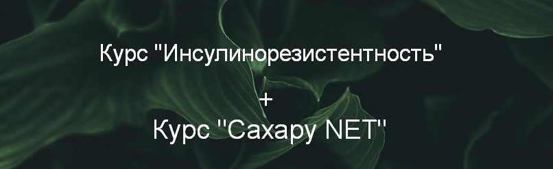 Суханова Елена Курс «Инсулинорезистентность» + Курс «Сахару NET» 2023 слив курса