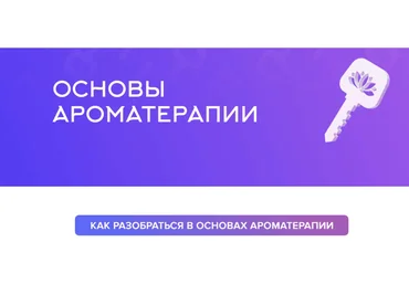 Наталья Шульга Основы ароматерапии 2025 скачать слив