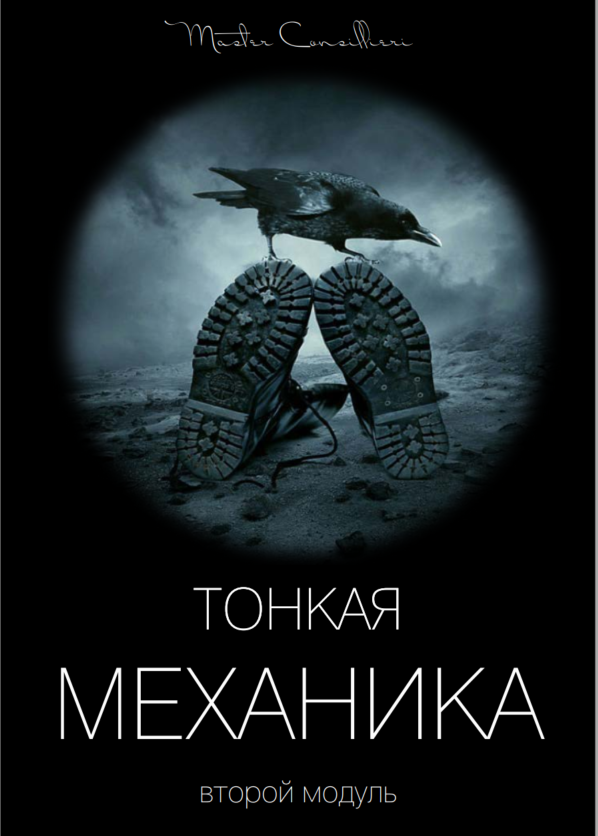 Виктор Орлов Тонкая механика 2 2021 слив курса