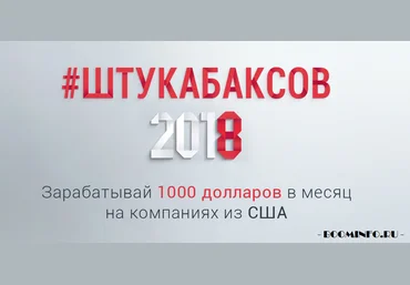 #Штукабаксов Макс Нестерчук 1000 долларов в месяц на компаниях из США слив