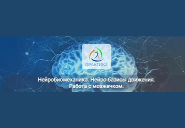 Альмир МарвановЦентр Практика Нейробиомеханика. Нейро базисы движения. Работа с мозжечком 2022 слив