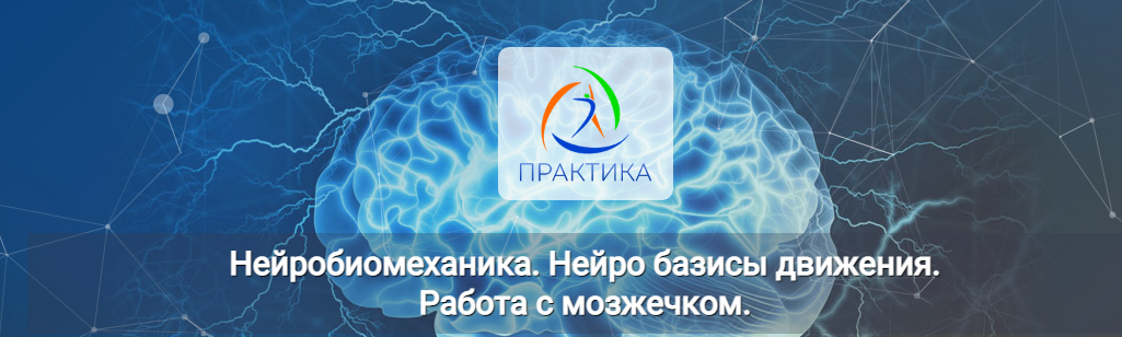 Альмир МарвановЦентр Практика Нейробиомеханика. Нейро базисы движения. Работа с мозжечком 2022 слив курса