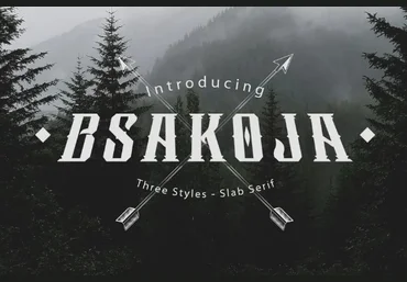 Creativemarket Bsakoja Font скачать слив