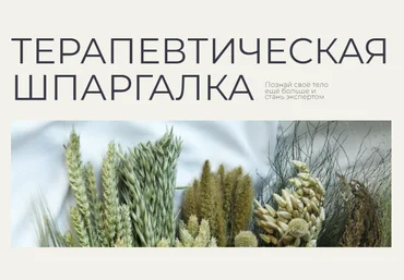 Гаяне Тандилян Терапевтическая шпаргалка 2023 слив