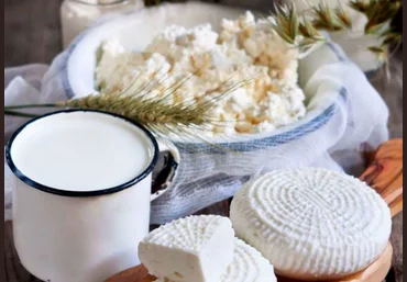 Светлана Ивлева Cheese Lab Домашний творог и йогурт 2024 слив