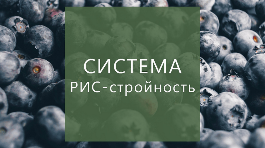 Суханова Елена Система РИС-стройность 2023 слив курса