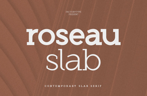 Creativemarket Roseau Slab Font 2021 слив курса