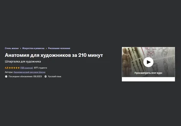 Udemy Дарья Остапенко-Праведникова - Анатомия для художников за 210 минут 2023 слив
