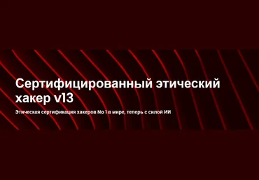 EC-Council CEH v13. Этичный хакинг и тестирование на проникновение. Часть 2 2024 слив