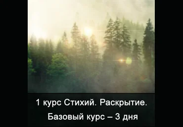Ксения Меньшикова Факультет Стихии. 1 курс. 1 курс Стихий. Сила Стихий. Базовый курс 2025 слив
