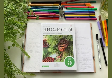 Алина Чабуткина БотаникУм 2023 слив