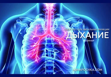 Антон Шапочка Квест по телу: витальные функции. Дыхание 2020 слив