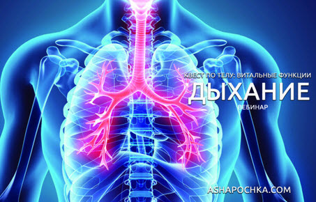 Антон Шапочка Квест по телу: витальные функции. Дыхание 2020 слив курса