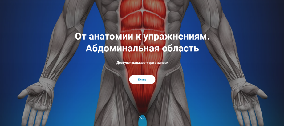Антон Шапочка, Михаил Касаткин От анатомии к упражнениям. Абдоминальная область 2022 слив курса