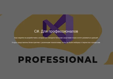 Роман Сакутин ЯЮНИОР C#. Для профессионалов 2021 слив