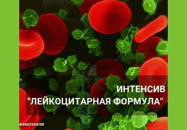 Анастасия Семко Лейкоцитарная формула 2024 слив
