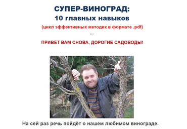 Николай Курдюмов Супер-виноград 2020 слив