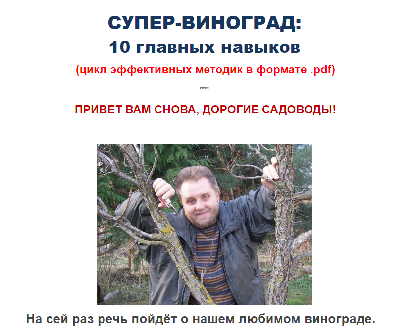 Николай Курдюмов Супер-виноград 2020 слив курса