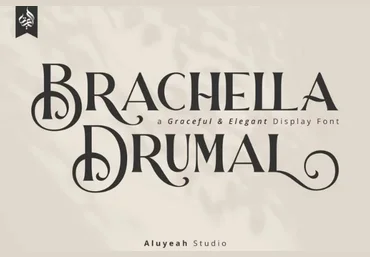 Fontbundles Brachella Drumal Font 2021 слив