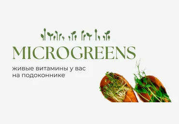 Татьяна Иримчук Учебное пособие по выращиванию микрозелени дома 2024 слив
