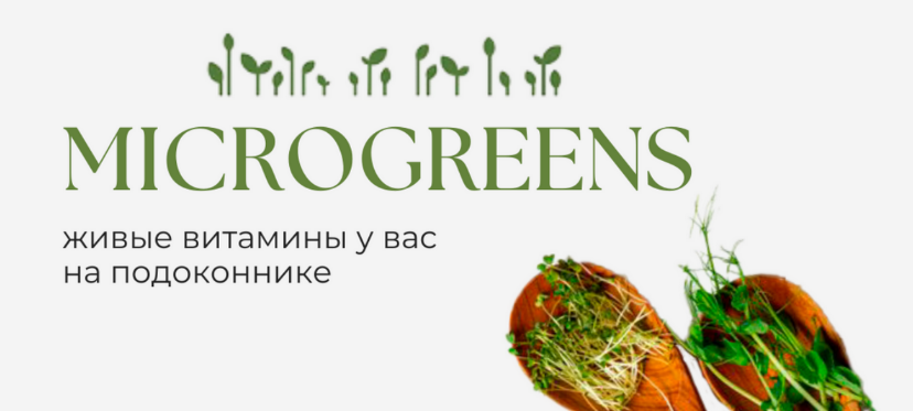 Татьяна Иримчук Учебное пособие по выращиванию микрозелени дома 2024 слив курса