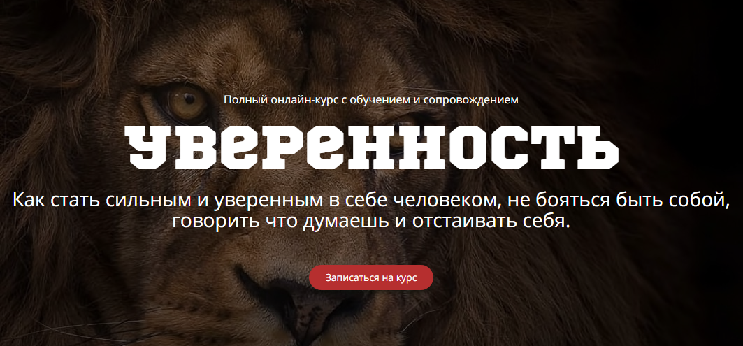 Как стать сильным и уверенным в себе человеком - Сергей Смирнов слив курса
