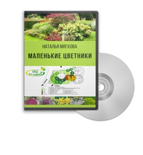 Наталья Мягкова Маленькие цветники слив курса