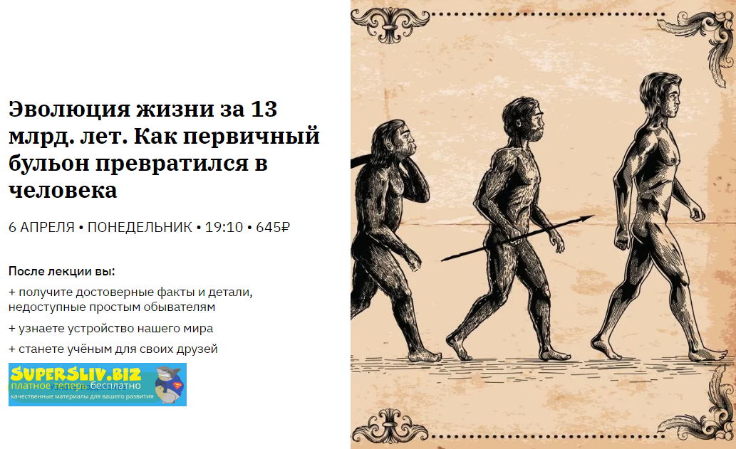 Тимур Денисов Эволюция жизни за 13 млрд. лет. Как первичный бульон превратился в человека 2020 слив курса