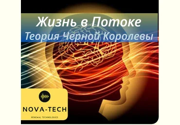 Nova-Tech Жизнь в Потоке. Теория Черной Королевы 2019 слив