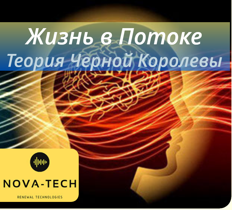 Nova-Tech Жизнь в Потоке. Теория Черной Королевы 2019 слив курса