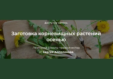 Сергей Апполонов Заготовка корневищных растений осенью 2023 слив