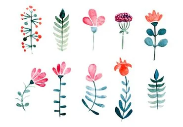 Видео-уроки по Adobe Illustrator для стокеров от Olga Zakharova слив