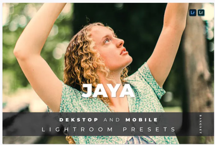 Elements.Envato Jaya Desktop and Mobile Lightroom Preset 2021 слив курса