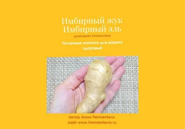 Анна Fermenterra Fermenterra Имбирный жук. Имбирный эль 2023 слив