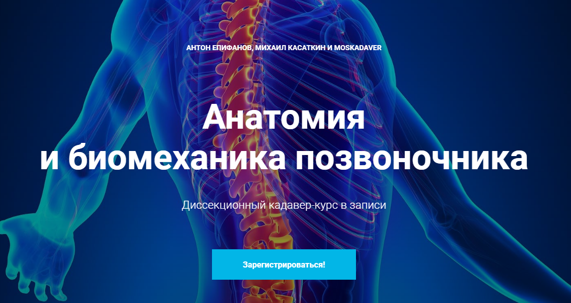 Антон Епифанов, Михаил Касаткин Анатомия и биомеханика позвоночника 2020 слив курса