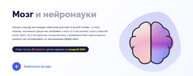 4BRAIN Мозг и нейронауки 2022 слив курса